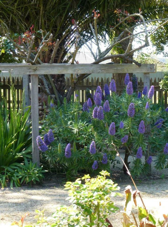 Bon Accord Luxury Bed & Breakfast